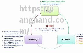 深入学习，进步突破技巧雕琢更高水平